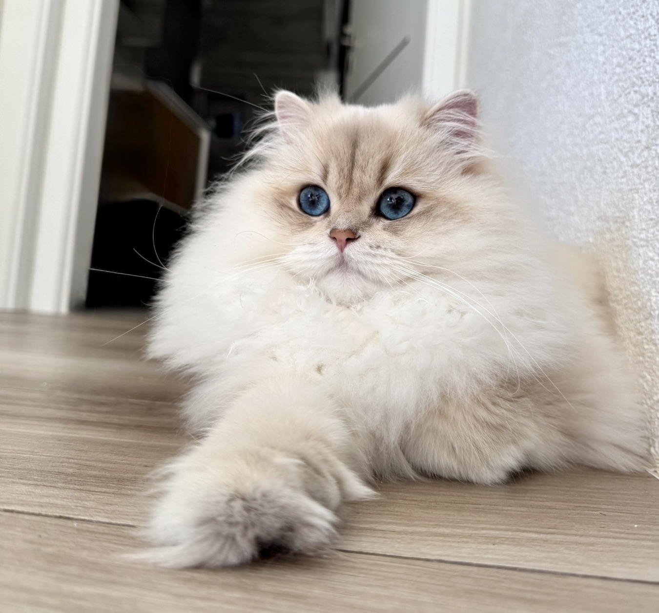 chat_2_1350x1800 (1) 2